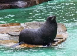 Dierentuin van Dortmund